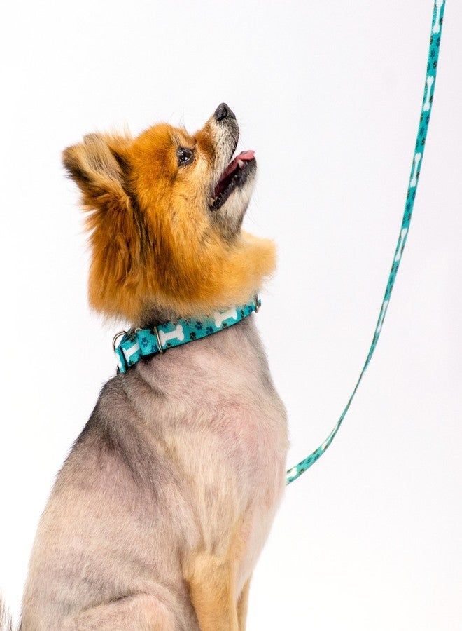 كانتري بروك ديزاين طوق ومقود مارتينجال للكلاب من كانتري بروك بيتز - أوه ماي دوغ - مجموعة حياة الكلاب بتصاميم مرحة (1 بوصة، متوسط) - Image 2